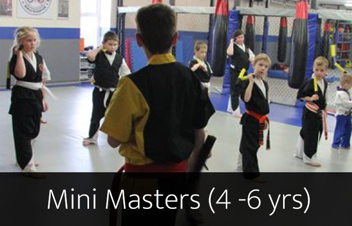 Mini Masters
